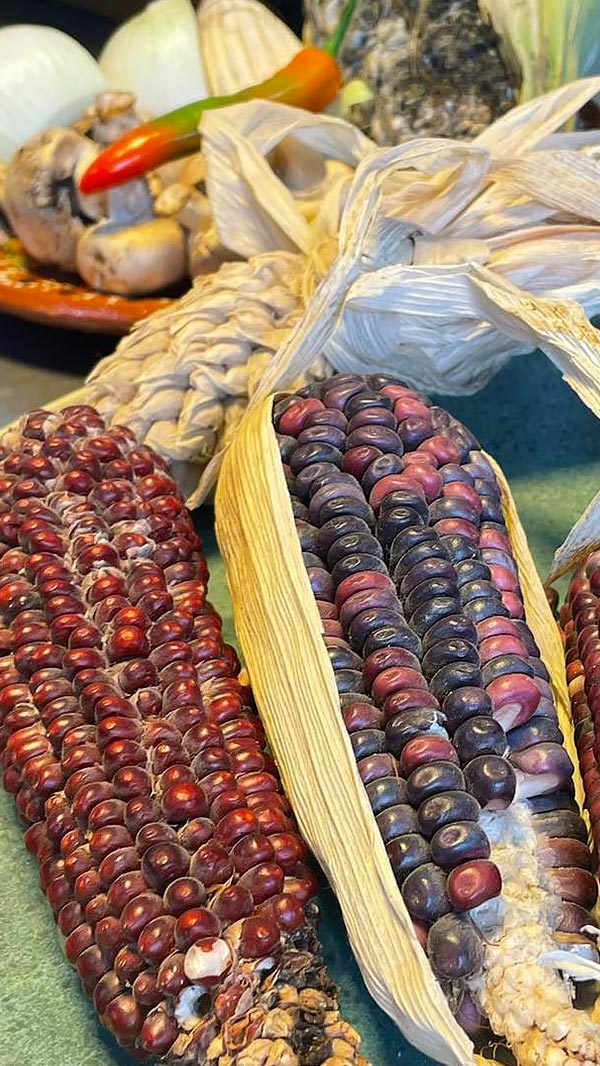 01-cocina-indigena-aventura-culinaria-slp-mexico